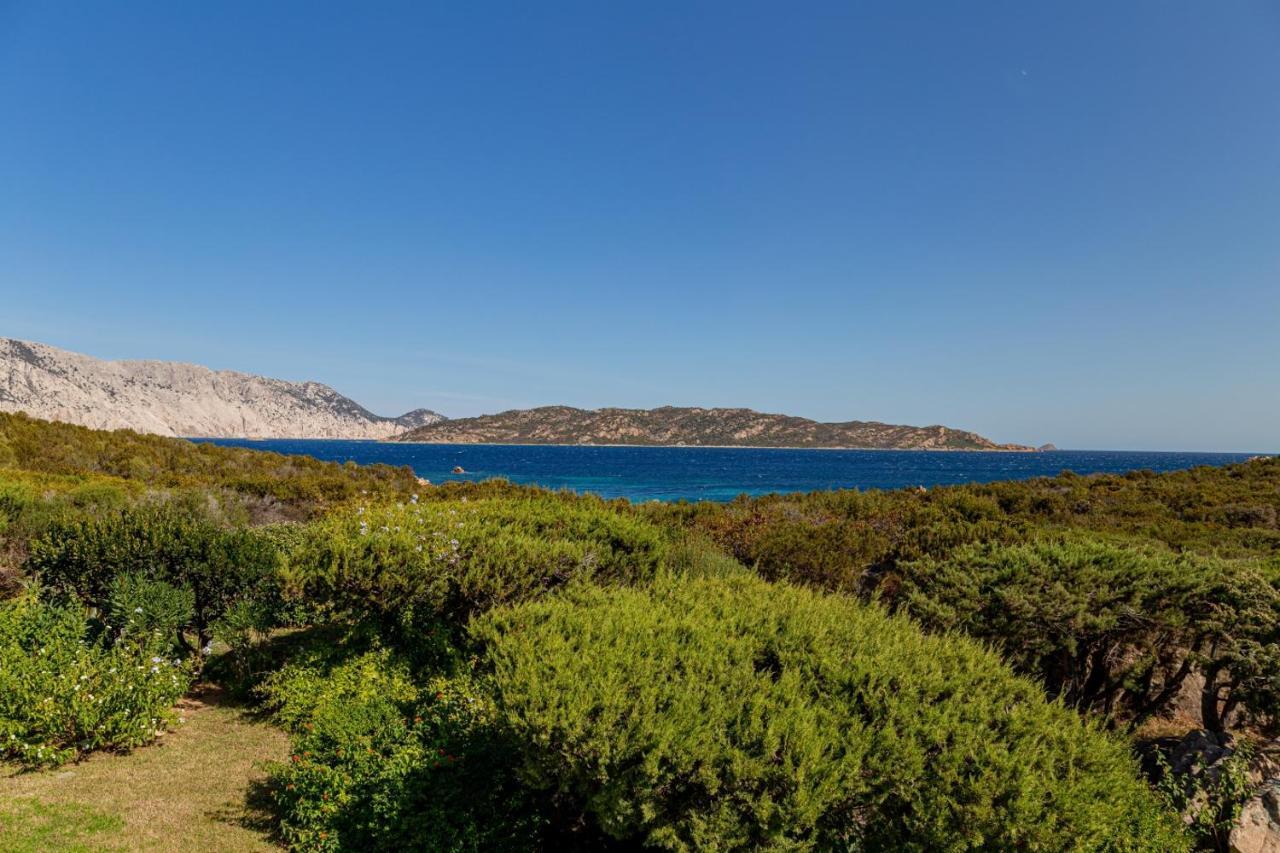 Appartamento Cala Paradiso 산테오도로 외부 사진